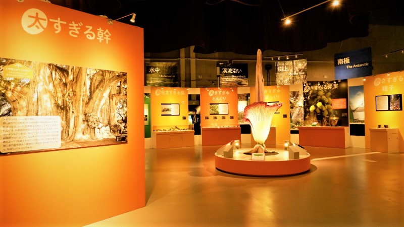 国立科学博物館「植物　地球を支える仲間たち」／展覧会レポート／チケットプレゼント