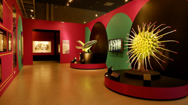 国立科学博物館「植物　地球を支える仲間たち」／展覧会レポート／チケットプレゼント
